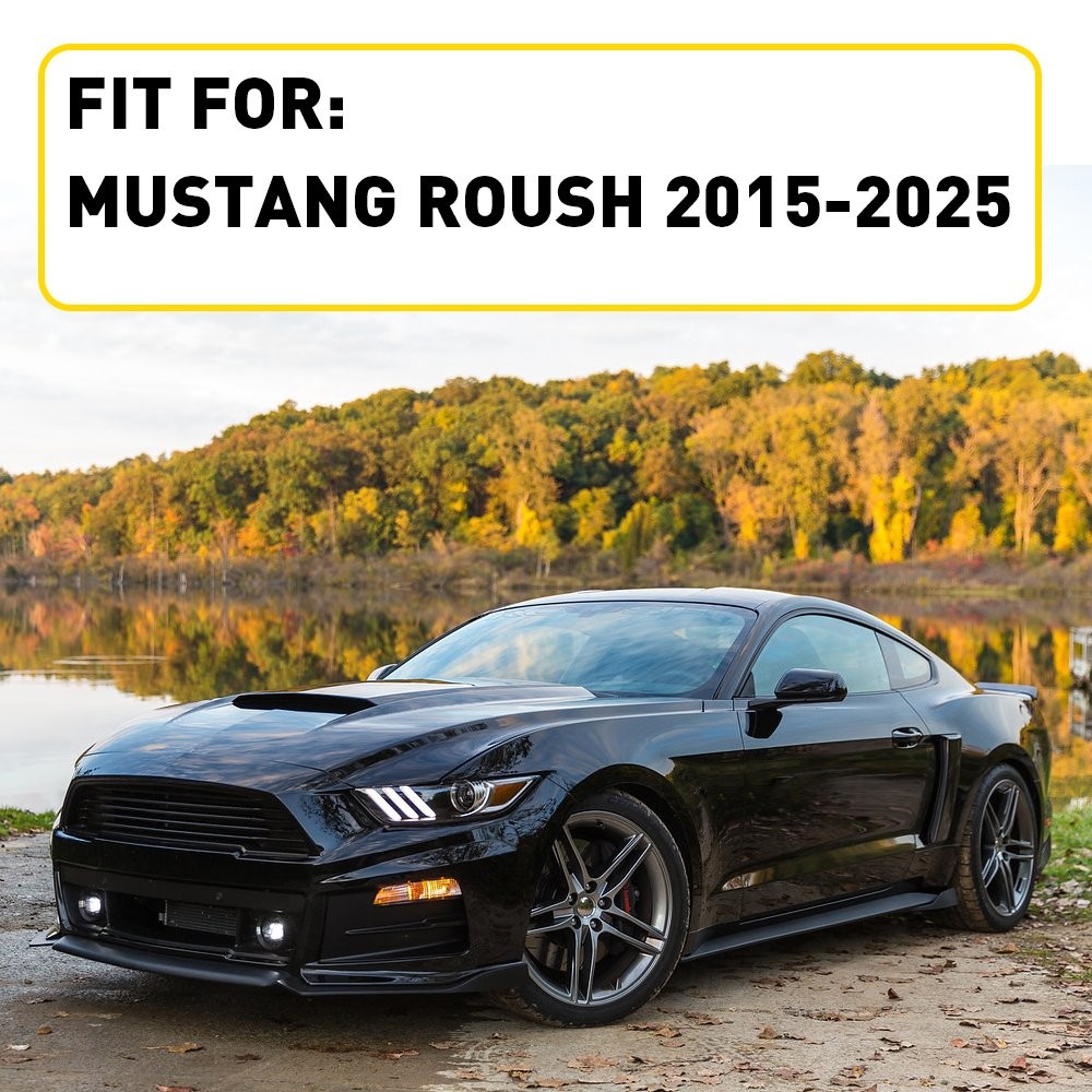 Side Skirt Rocker Panel Spoiler Diffuser 2PCS Black Fit Ford Mustang Roush 2-6X