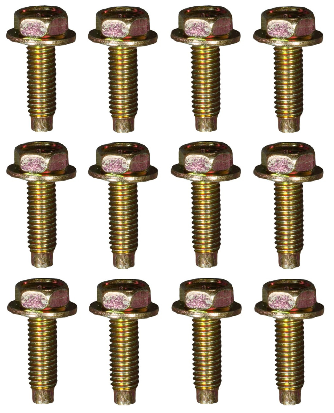 12 CORRECT LICENSE PLATE BOLTS! FOR TOYOTA CAMRY COROLLA TUNDRA TACOMA RAV4 ETC