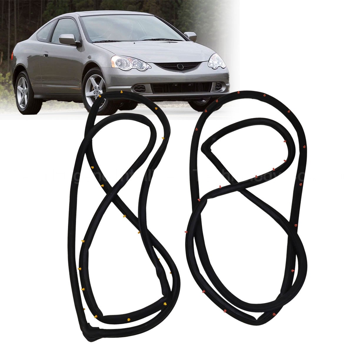 Front Door Weatherstrip Seal Left & Right Side Fit 02-06 Acura RSX 72310-S6M-003