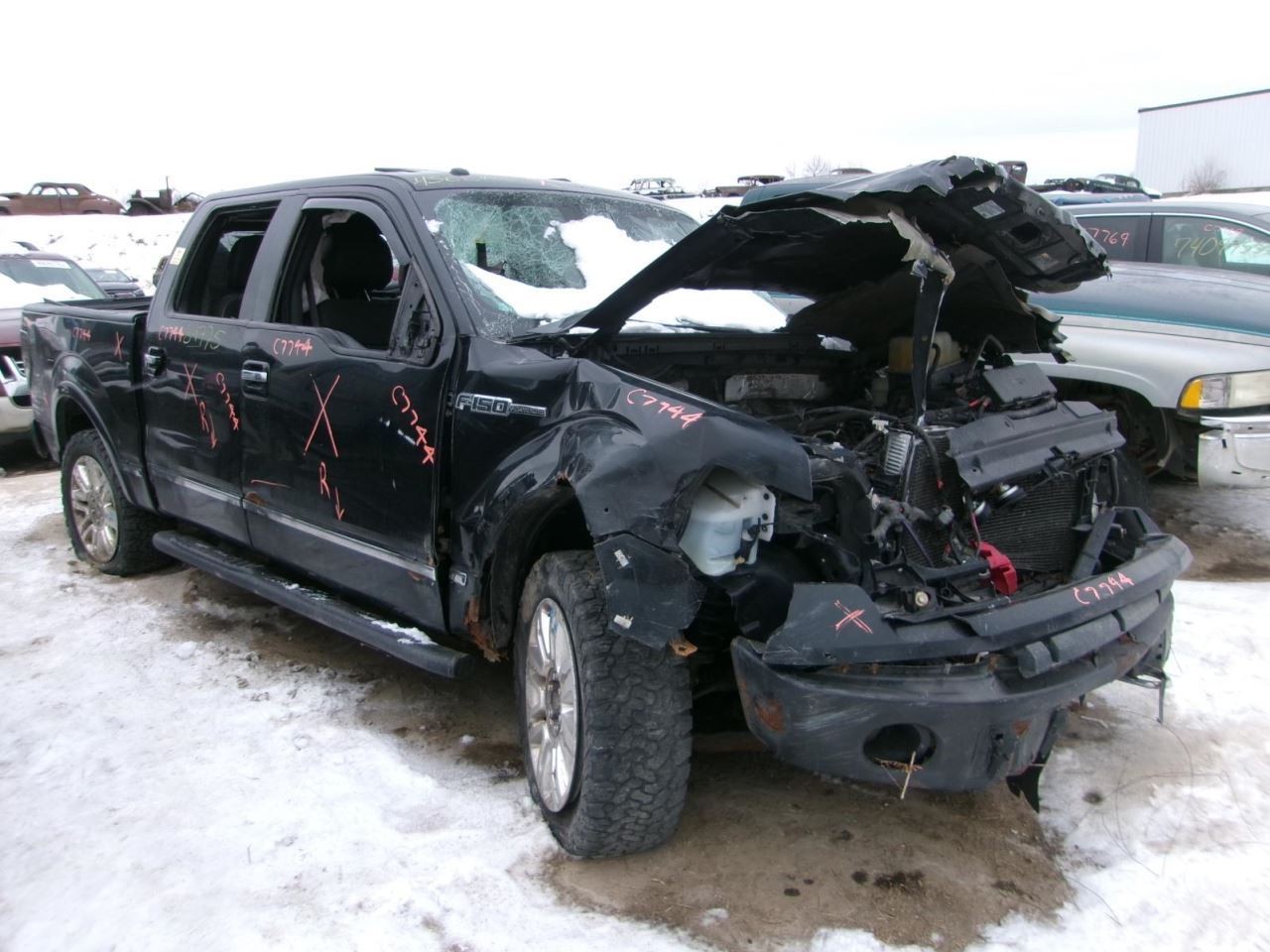 Tail Finish Panel Platinum Package Fits 09-14 FORD F150 PICKUP 2229085