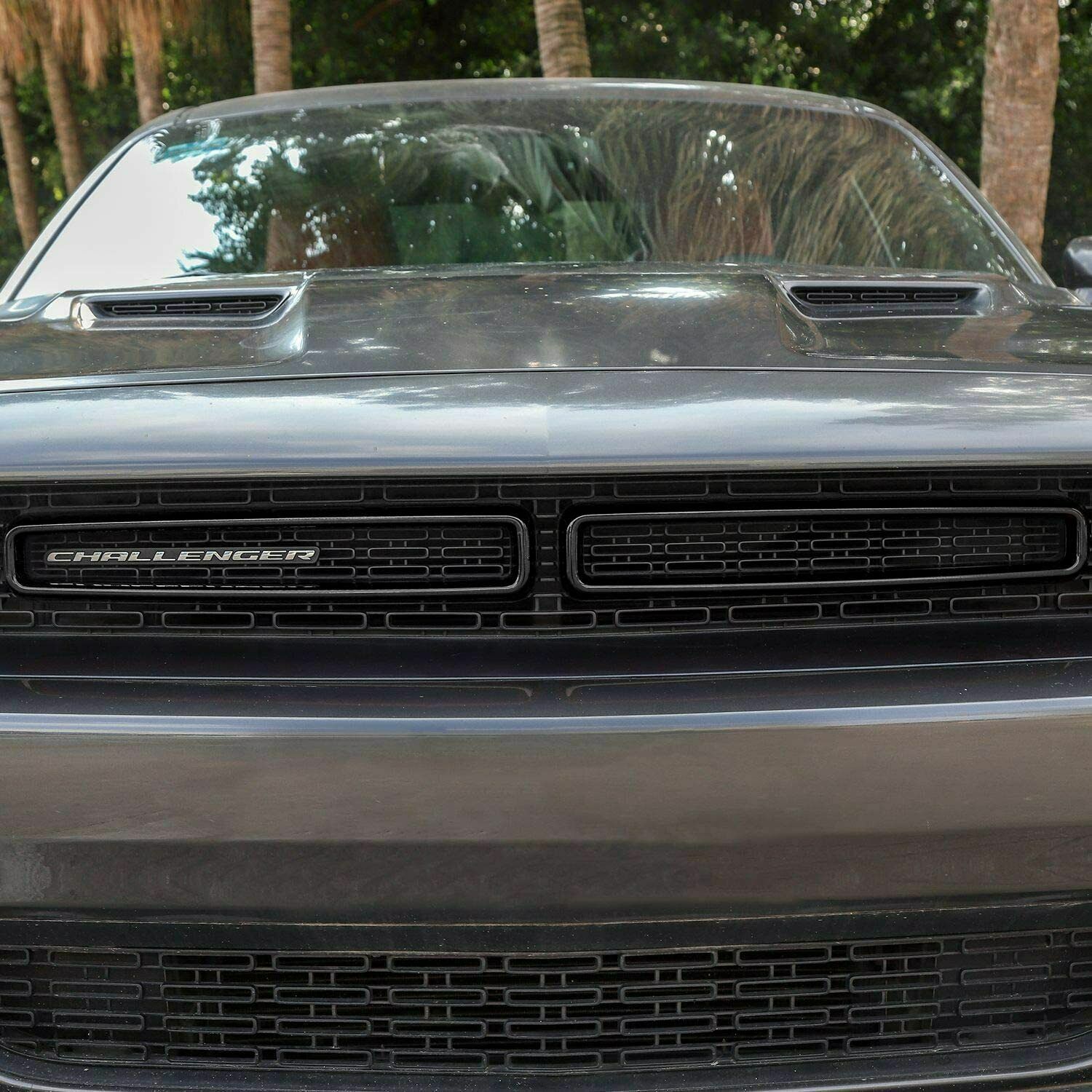 2pcs Front Grille Insert Mesh Cover Trim Bezels for Dodge Challenger 2015+ Black