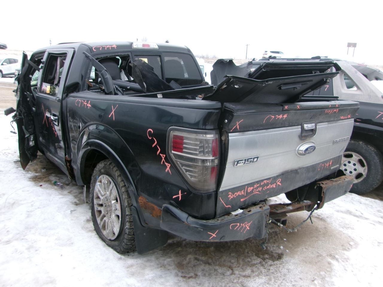 Tail Finish Panel Platinum Package Fits 09-14 FORD F150 PICKUP 2229085