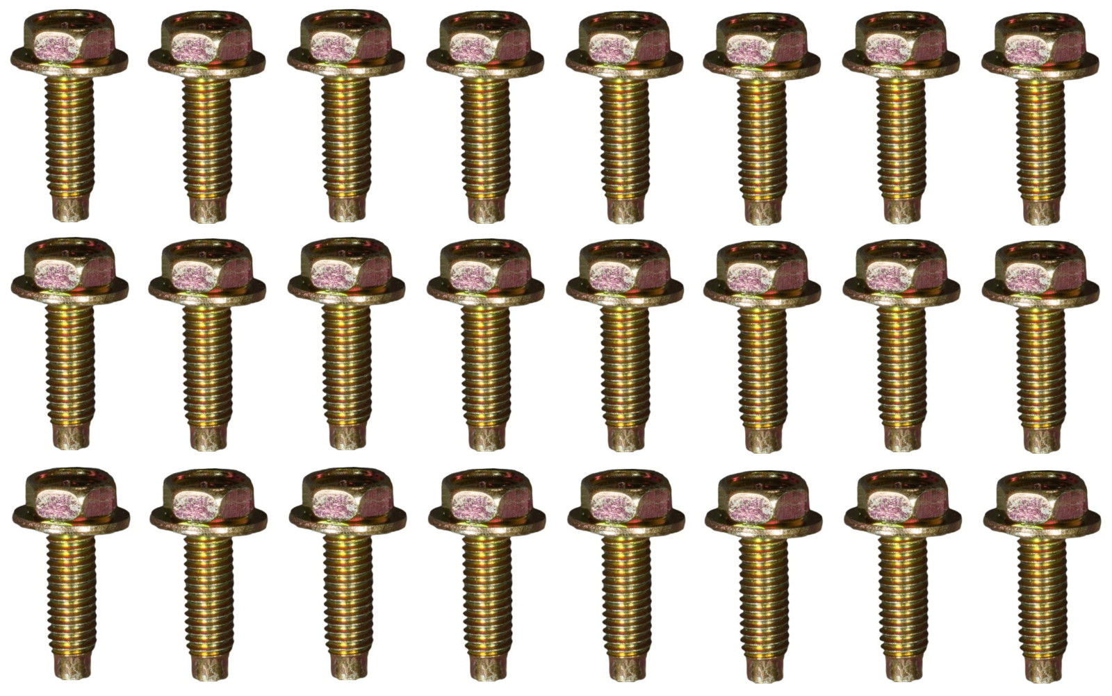 24 NEW CORRECT LICENSE PLATE BOLTS FOR TOYOTA! FITS PRIUS AVALON SEQUOIA ETC