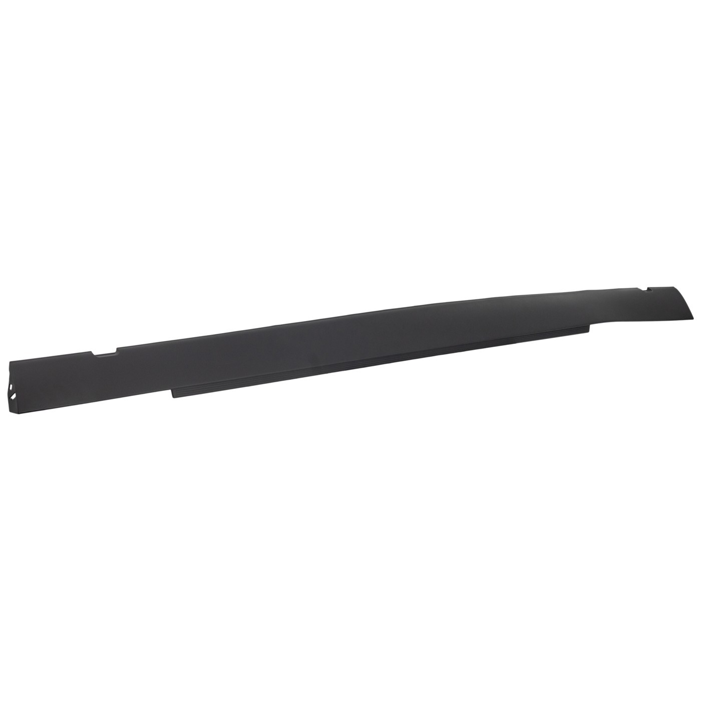 Pair Rocker Panel Trims Set of 2 Driver & Passenger Side Left Right for Dodge
