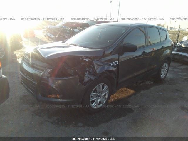 2013-2019 FORD ESCAPE LOWER LIFTGATE MOULDING