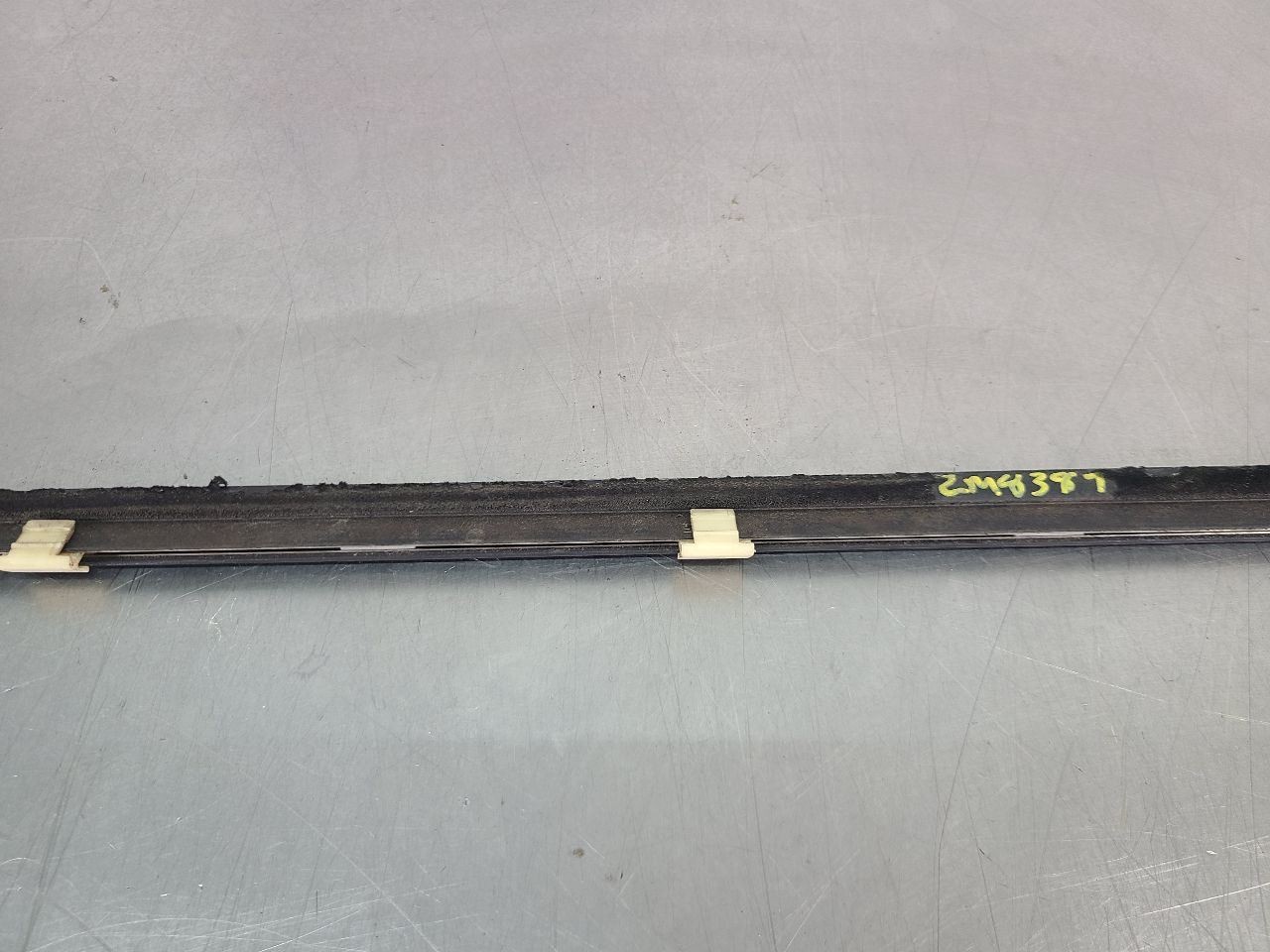 2004-06 GTO Door Belt Moulding Trim Strip, Right Passenger Side RH – OEM