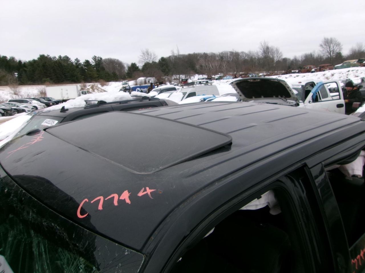 Tail Finish Panel Platinum Package Fits 09-14 FORD F150 PICKUP 2229085