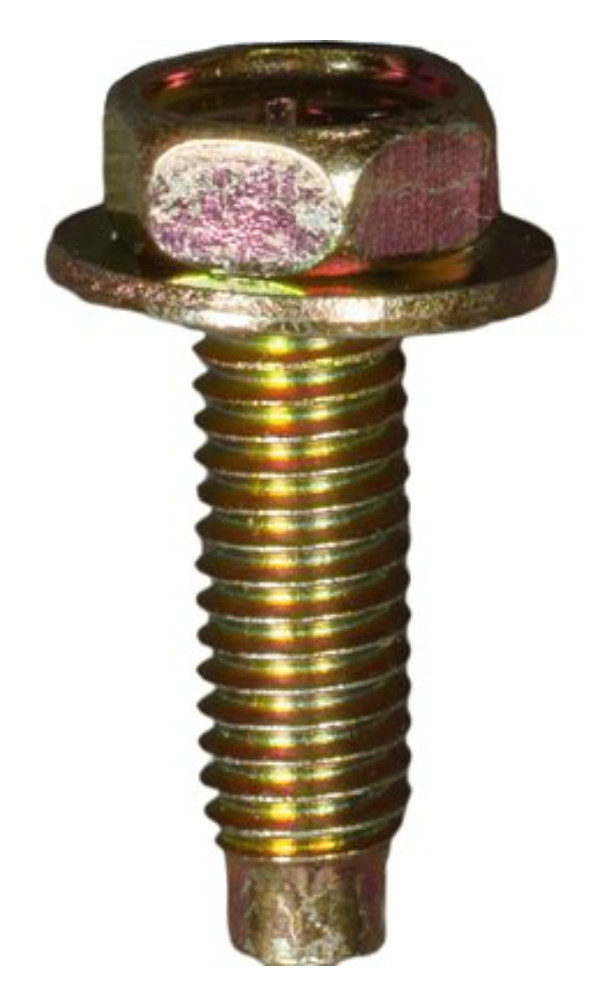 12 CORRECT LICENSE PLATE BOLTS! FOR TOYOTA CAMRY COROLLA TUNDRA TACOMA RAV4 ETC