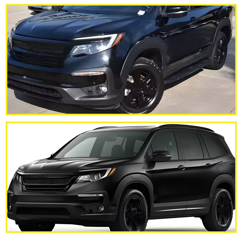 2X Fog Light Covers For 2019-2022 Honda Pilot Fog Light Bezels Left and Right
