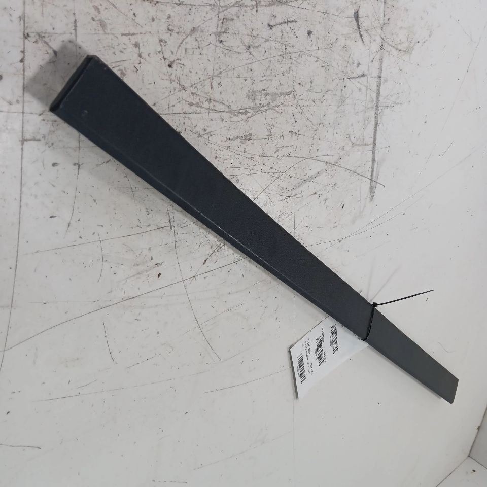 Hyundai Tucson Door Molding Trim Strip Right Passenger Side Front 2019 2020 OEM