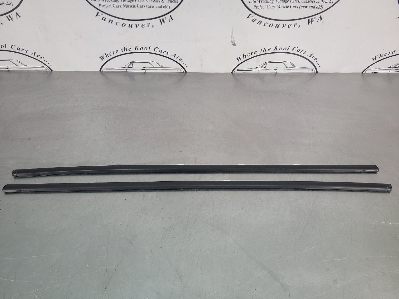 2004-06 GTO Door Belt Moulding Strip Trim Pair, Right / Left – OEM