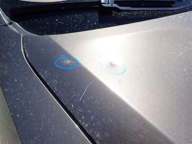 QUARTER MOULDING OEM 2011 BMW X5 51777163560