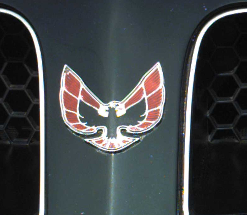 OER Red and Black Front End Bird Emblem For 1974-1976 Firebird and Trans AM