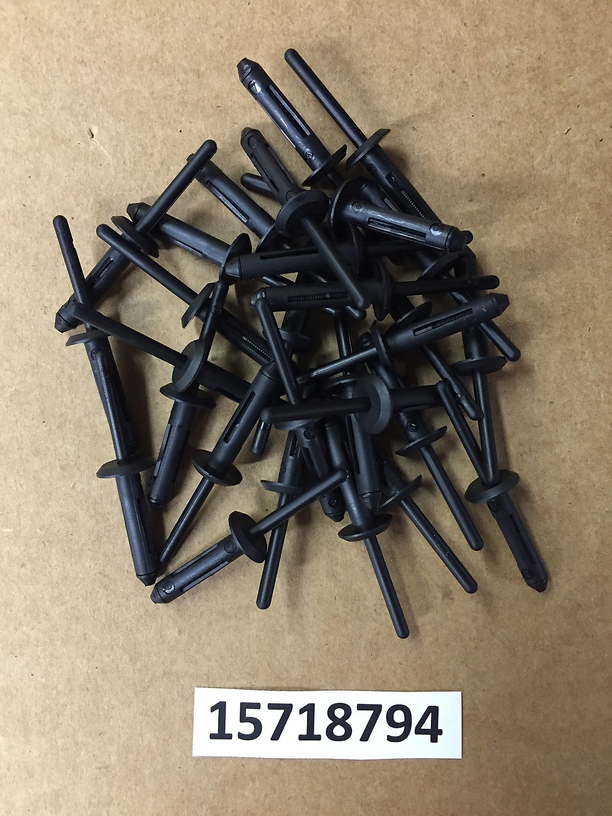 Set of 50: Nylon Blind Rivets For GM Chevy GMC Cadillac Olds 15718794 13/64″