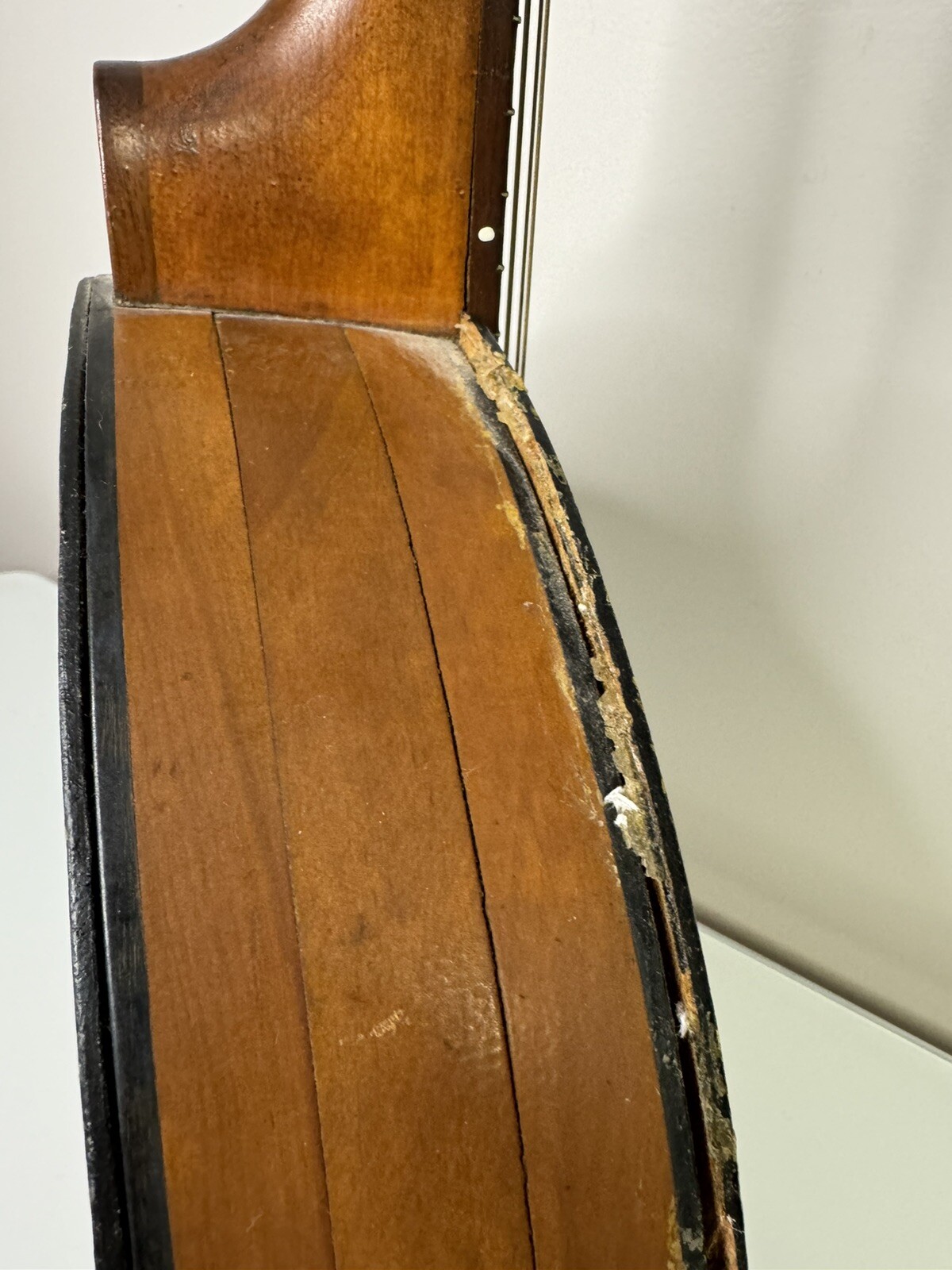 Antique Round Body Mandolin 8 String Restoration Project Instrument Handmade
