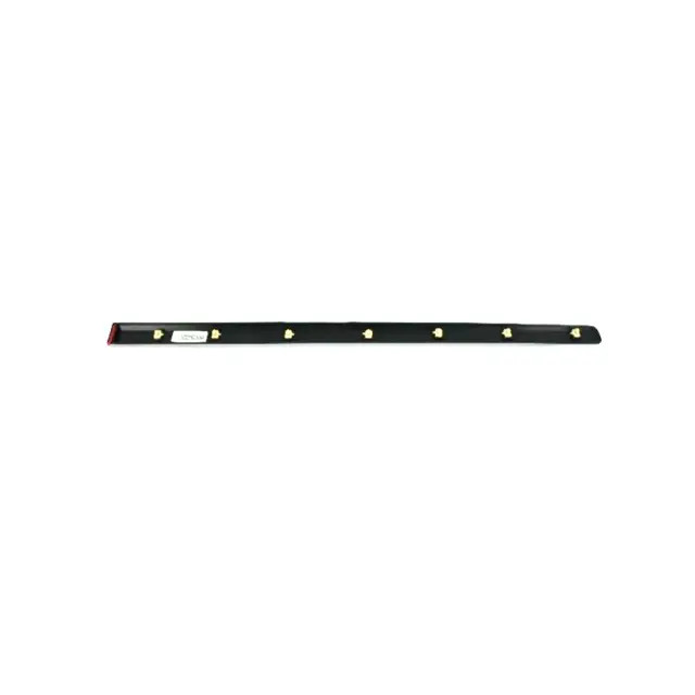 Genuine Mopar Front Door Molding Lower Right 1DG42RXFAD