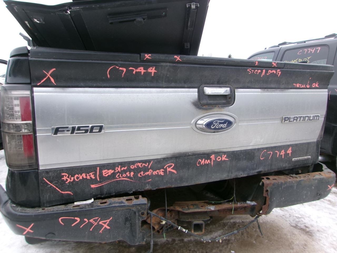 Tail Finish Panel Platinum Package Fits 09-14 FORD F150 PICKUP 2229085