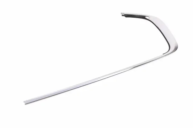 Genuine GM Rear Passenger Side Door Window Upper Reveal Molding 84190174