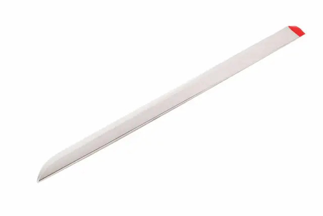 Genuine GM Galvano Silver Rear Driver Side Door Molding 23264122