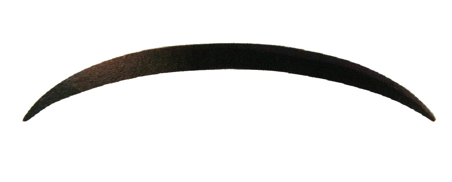 Fits 1998-2004 Chrysler 300M Sedan New Hood Molding Trim Molding Black CH1235101