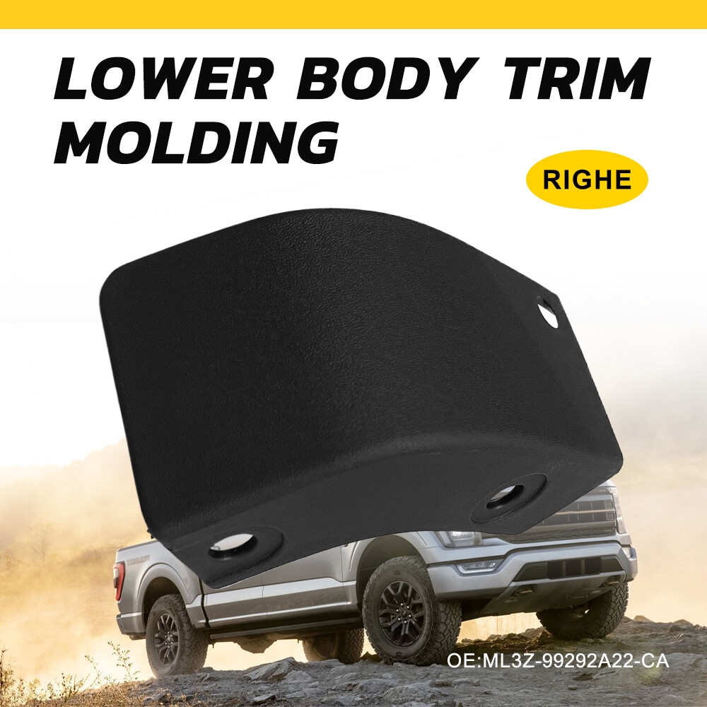 FOR 2021 2022 2023 FORD F-150 F150 RIGHT SIDE LOWER MIDDLE STONE GUARD DEFLECTOR