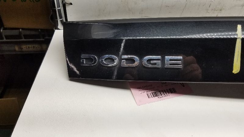 CALIBER 2010 Tail Finish Panel 875673
