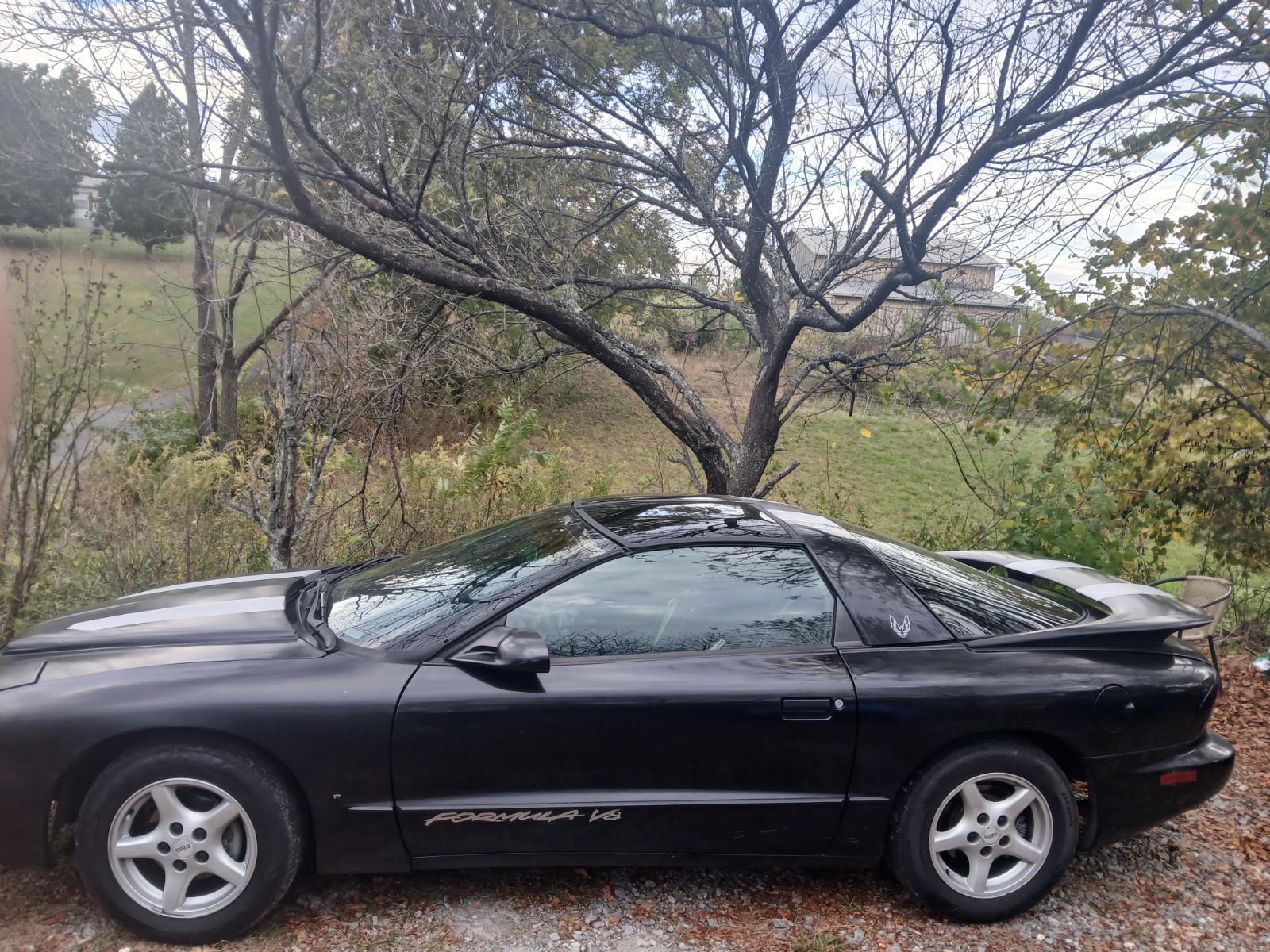 For Sale 1994 Firebird formula Lt1 6 Speed blacklots new parts ignitions, gas-