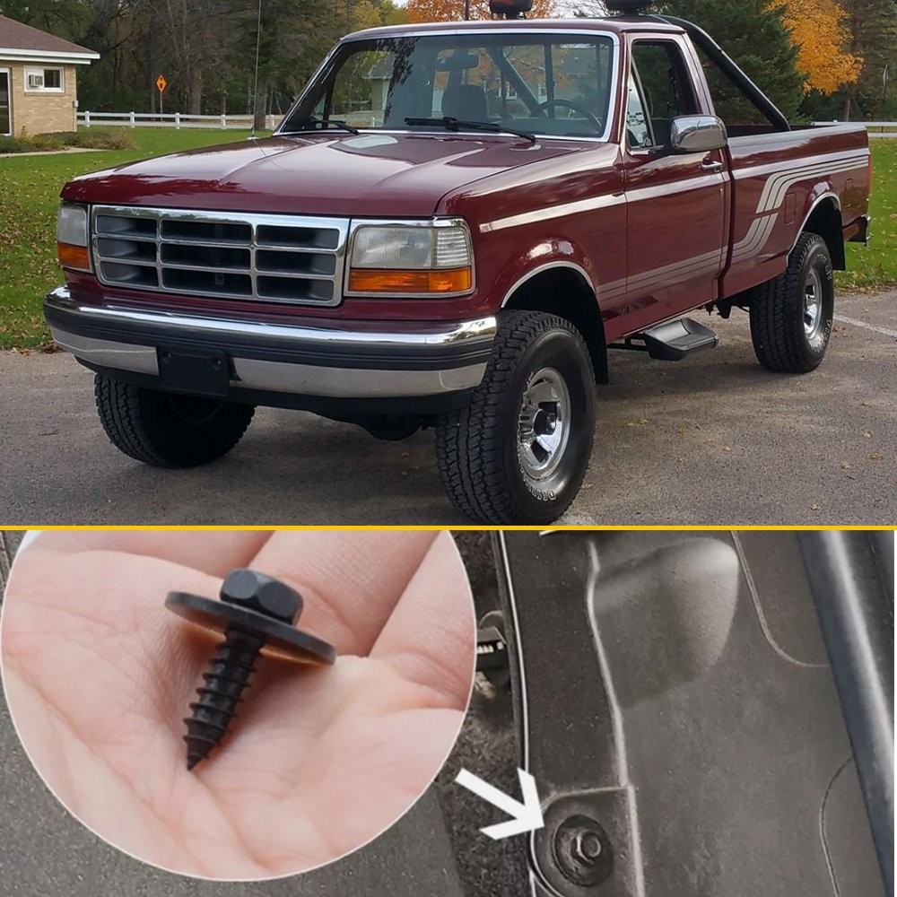 50*Car Screw Fender Liner Body Bumper Cover Shield Splash Bolt Metal Black Screw