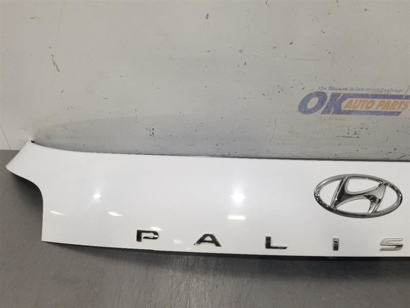 20 2020 HYUNDAI PALISADE TAIL FINISH PANEL WHITE