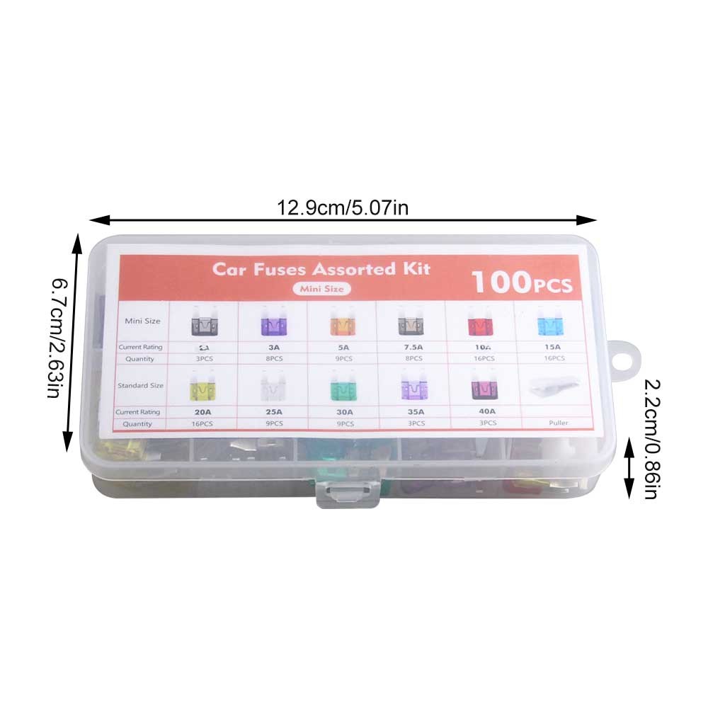 100 Pcs Car Fuse Assortment Kit 2A-40A for Cars, Trucks, SUVs, Motorcycl, RV
