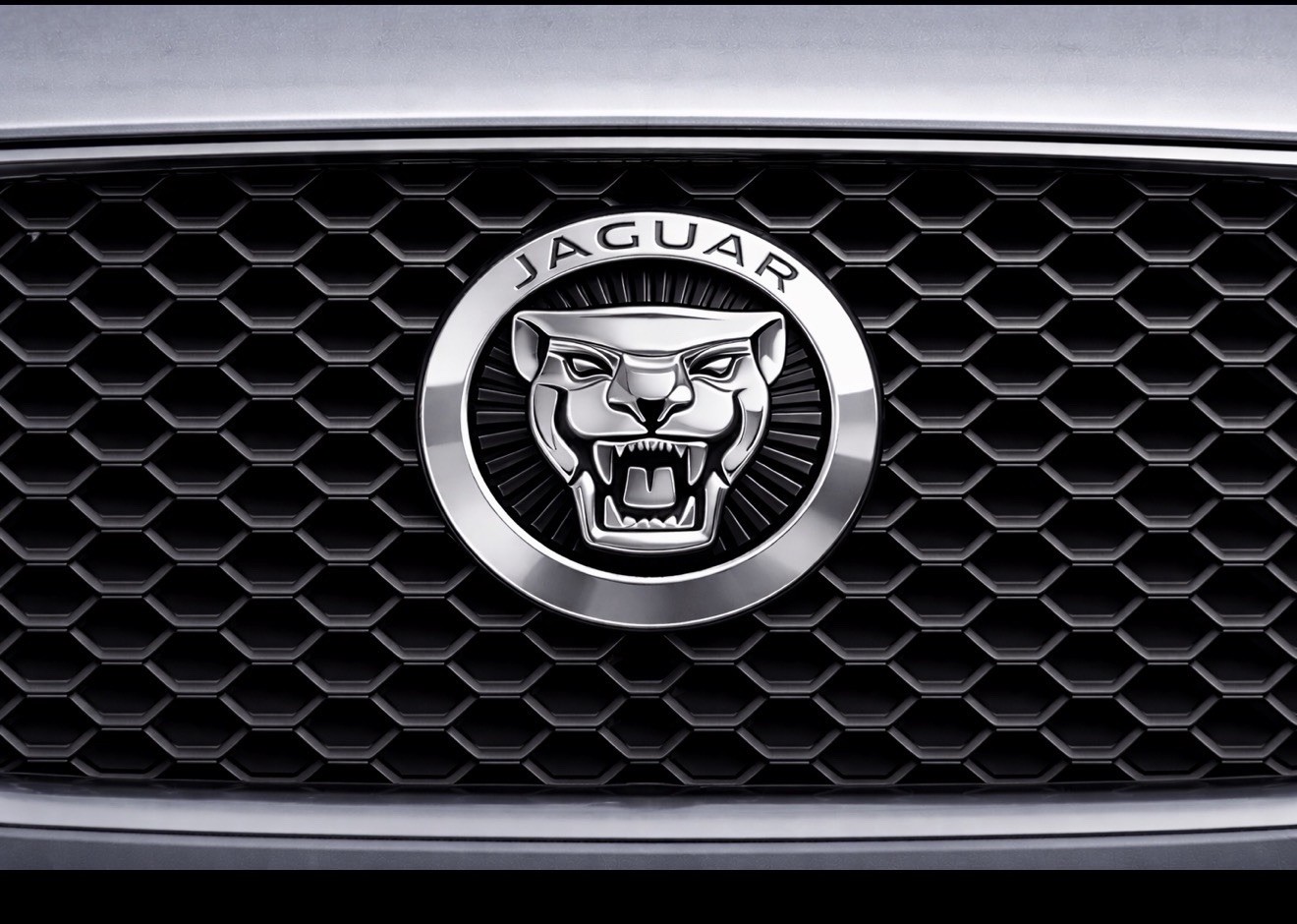 JAGUAR SILVER GROWLER GRILLE EMBLEM BADGE 86MM FRONT LOGO XF XJ F-TYPE F-PACE