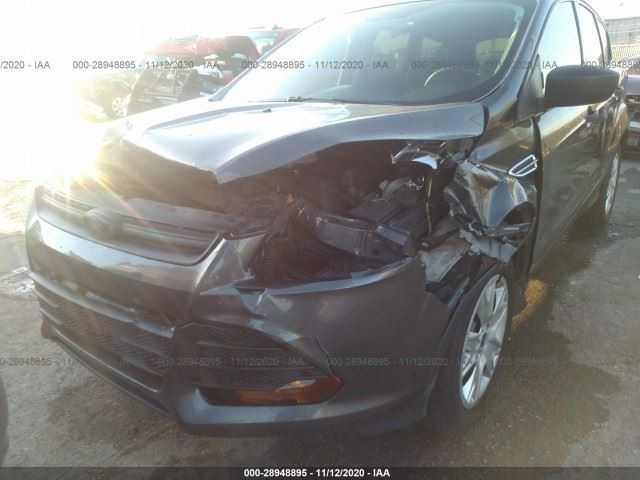 2013-2019 FORD ESCAPE LOWER LIFTGATE MOULDING