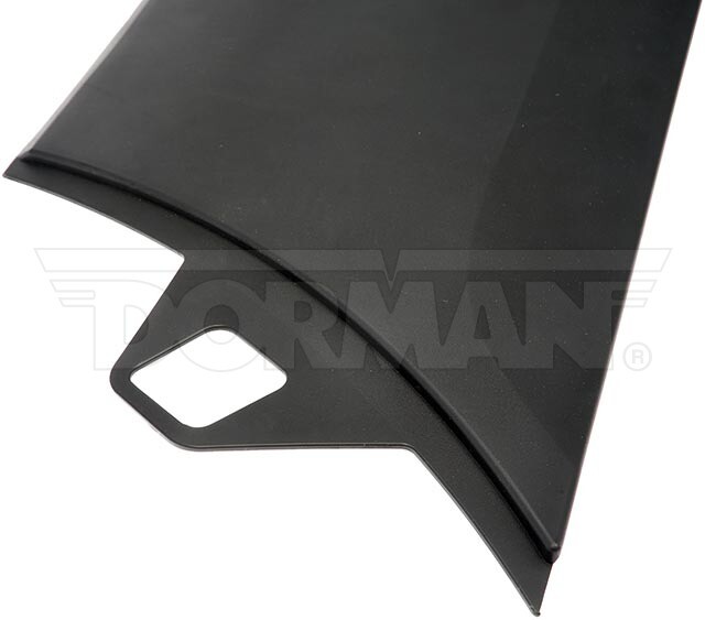 Dorman 927-341 Door Molding fits 2021 Ford Transit-150